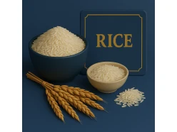category img